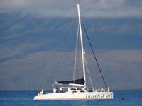 auf Maui - Segeltörn