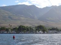 auf Maui - Segeltörn, letzte Blicke auf Lahaina