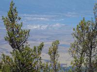 Maui, Vulkan Haleakala - Blick von der Auffahrt zum Vulkan