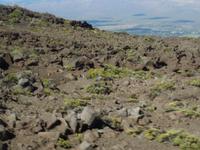 Maui, Vulkan Haleakala - Auffahrt zum Vulkan