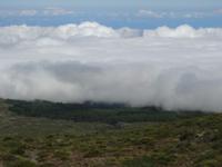 Maui, Vulkan Haleakala - Blick von der Abfahrt des Vulkan