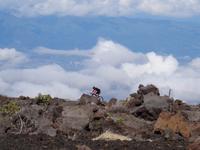 Maui, Vulkan Haleakala - Einzelkämpfer