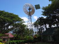 Maui, tropische Plantage