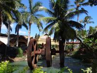 Maui, tropische Plantage