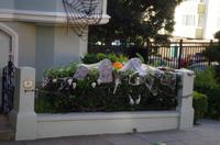 Stadtrundfahrt durch San Francisco