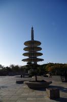 Stadtrundfahrt durch San Francisco