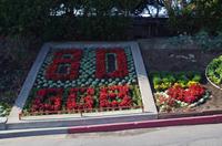Golden Gate Bridge in San Francisco