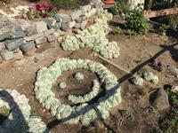 Golden Gate Bridge in San Francisco