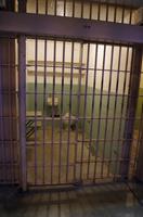 Besuch der Gefängnisinsel Alcatraz