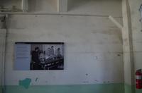 Besuch der Gefängnisinsel Alcatraz