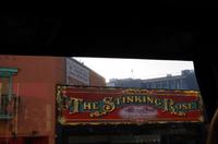 Rückfahrt zum Hotel