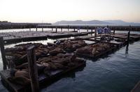 Pier 39 in San Francisco