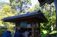 Besuch des Golden Gate Parks in San Francisco