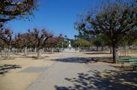 Besuch des Golden Gate Parks in San Francisco