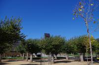 Besuch des Golden Gate Parks in San Francisco