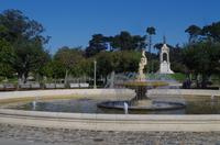 Besuch des Golden Gate Parks in San Francisco