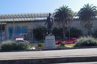 Besuch des Golden Gate Parks in San Francisco