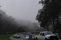 Besuch des Golden Gate Parks in San Francisco