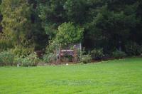 Besuch des Golden Gate Parks in San Francisco