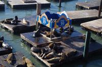 Pier 39 in San Francisco