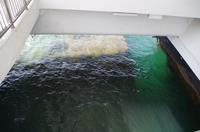 Besuch von Pearl Harbour