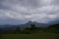 Rückfahrt zum Zentrum und Fortsetzung der Stadtrundfahrt durch Honolulu