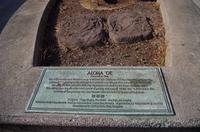 Rückfahrt zum Zentrum und Fortsetzung der Stadtrundfahrt durch Honolulu