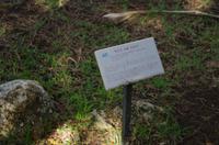 Rückfahrt zum Zentrum und Fortsetzung der Stadtrundfahrt durch Honolulu