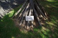 Rückfahrt zum Zentrum und Fortsetzung der Stadtrundfahrt durch Honolulu