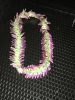 Hawaiianische Blumenkette