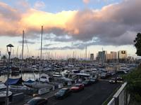 Blick vom Hotel auf die Marina von Honolulu