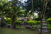 Individuelle Inselrundfahrt Maui mit allen Gästen im Taxi