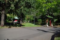 Individuelle Inselrundfahrt Maui mit allen Gästen im Taxi