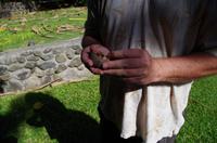 Individuelle Inselrundfahrt Maui mit allen Gästen im Taxi