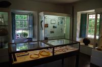 Individuelle Inselrundfahrt Maui mit allen Gästen im Taxi