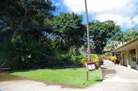 Individuelle Inselrundfahrt Maui mit allen Gästen im Taxi