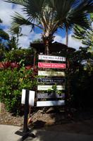 Individuelle Inselrundfahrt Maui mit allen Gästen im Taxi