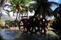 Individuelle Inselrundfahrt Maui mit allen Gästen im Taxi