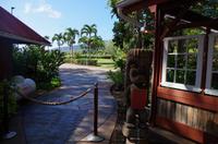 Individuelle Inselrundfahrt Maui mit allen Gästen im Taxi