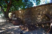 Individuelle Inselrundfahrt Maui mit allen Gästen im Taxi