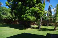 Individuelle Inselrundfahrt Maui mit allen Gästen im Taxi