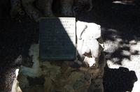 Individuelle Inselrundfahrt Maui mit allen Gästen im Taxi