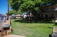 Individuelle Inselrundfahrt Maui mit allen Gästen im Taxi