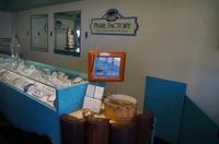 Individuelle Inselrundfahrt Maui mit allen Gästen im Taxi