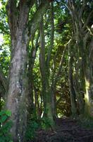 Ausflug ITO03 mit NCL 