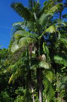 Ausflug ITO03 mit NCL 