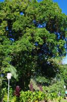 Ausflug ITO03 mit NCL 