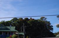 Ausflug ITO03 mit NCL 