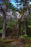 Ausflug ITO03 mit NCL 