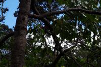 Ausflug ITO03 mit NCL 